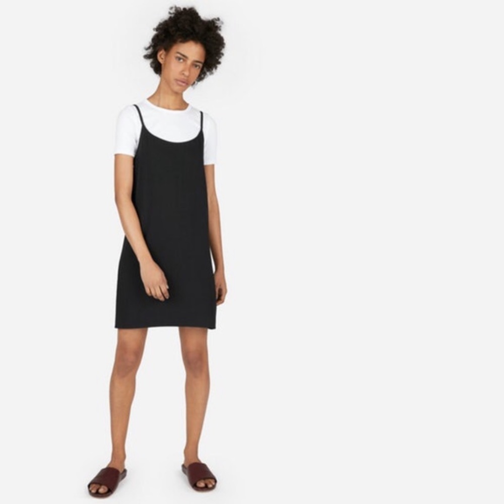 Everlane dress Japanese Goweave slip dress